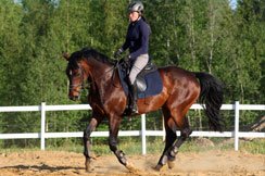 Equitazione Viverone