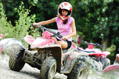 Quad Viverone